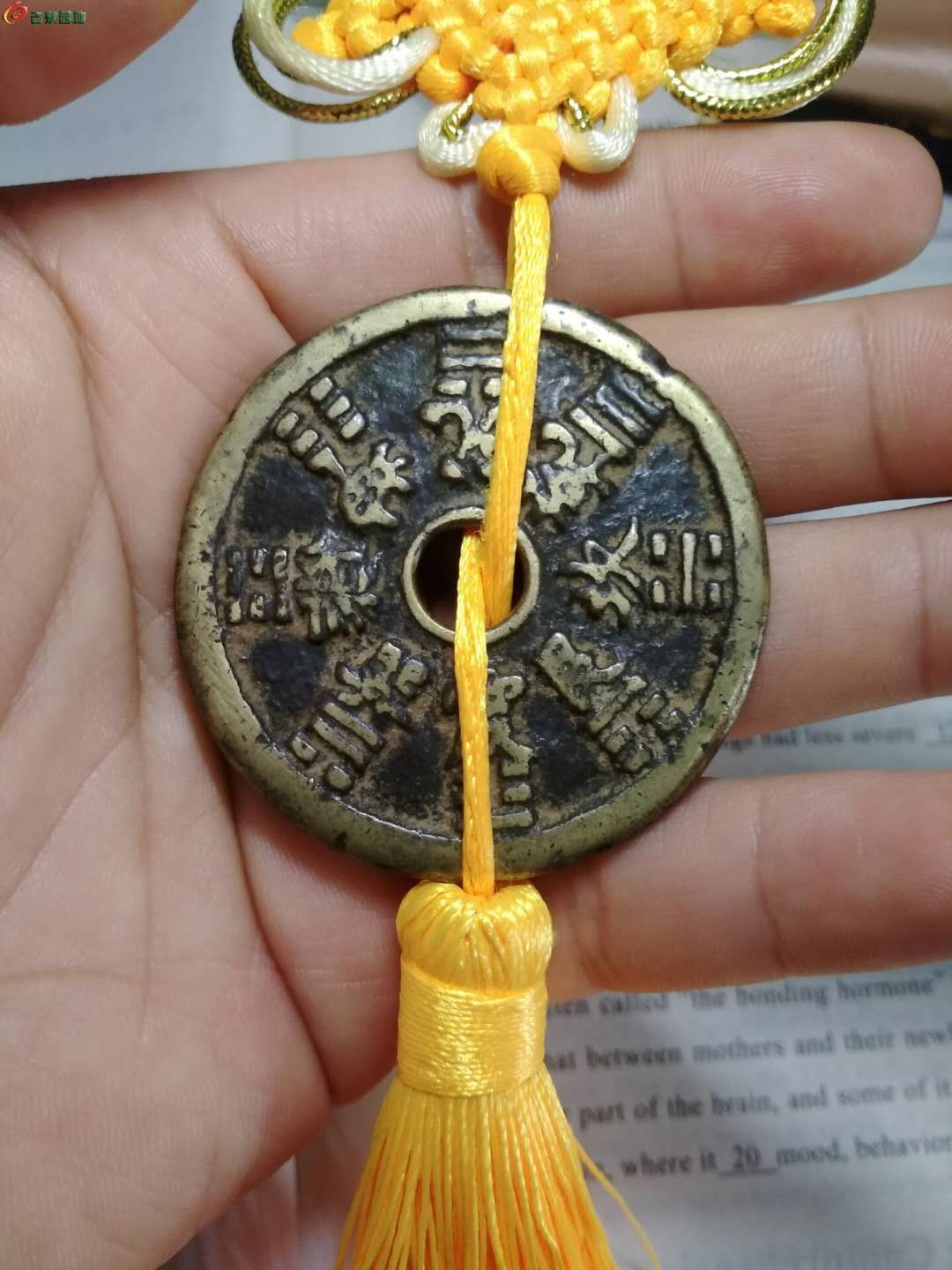 ͼƬ´ڴ򿪲鿴