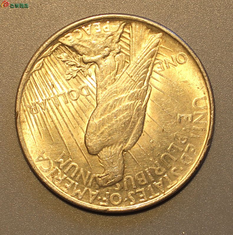 美国老鹰图案的钱币图片