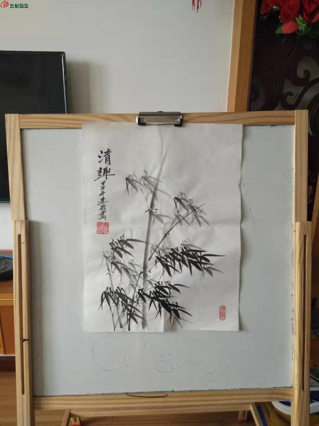 毛笔水墨画,题材:竹!