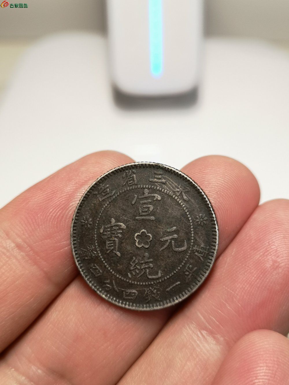 东三省最贵的小银毫图片
