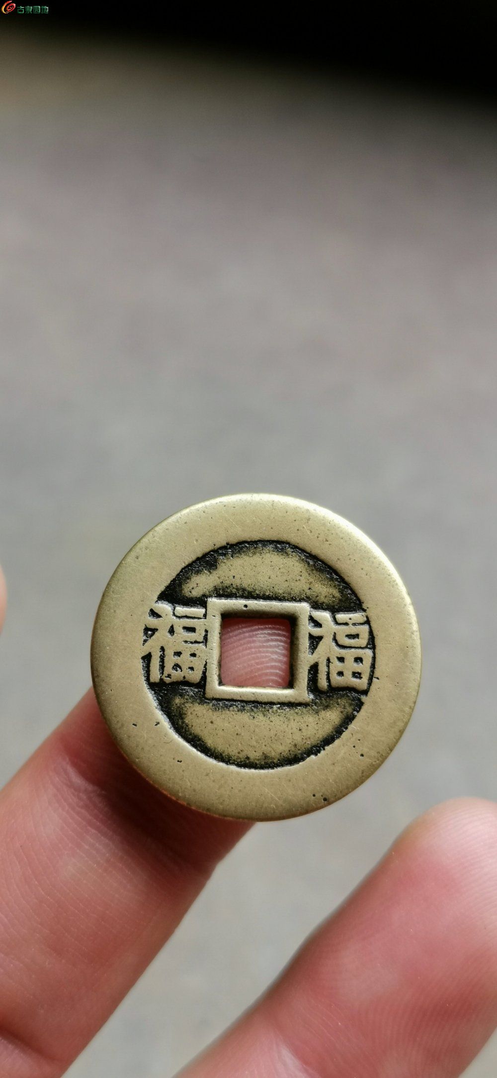 [欣赏 曾经最爱的品种,又回到自己的手上"同治福福"套子!