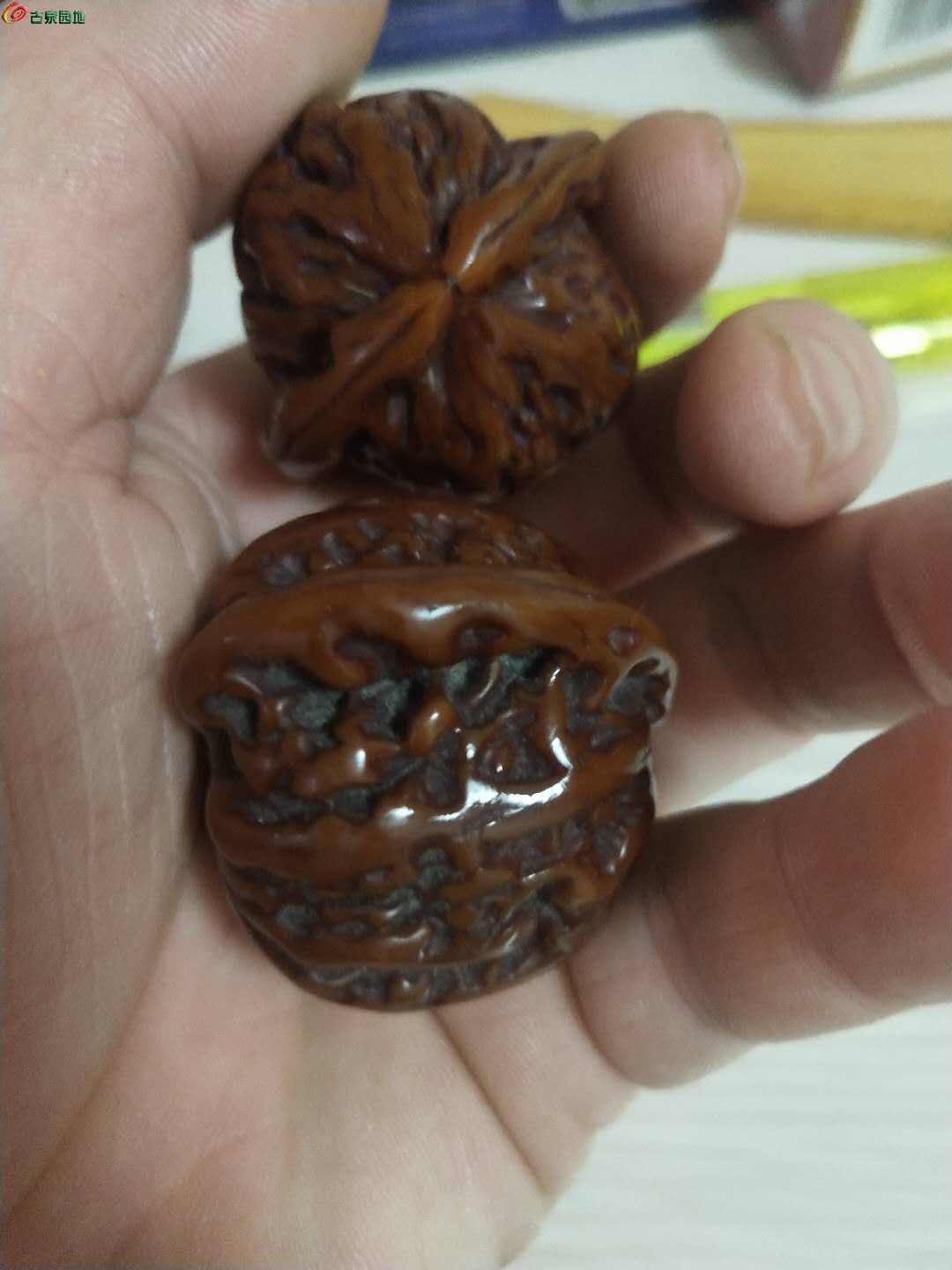ʨͷһ
