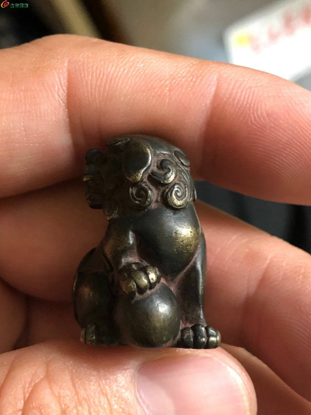 乡下收到的清代老铜狮子一个,实心的漂亮