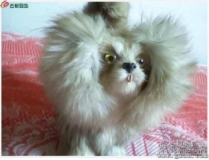 OlOH51x4_eKIABhfAADEP8ZAzDQAADPqwESHFoAAMRX491.jpg