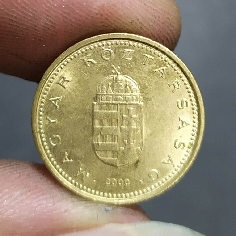 匈牙利1福林硬币500枚