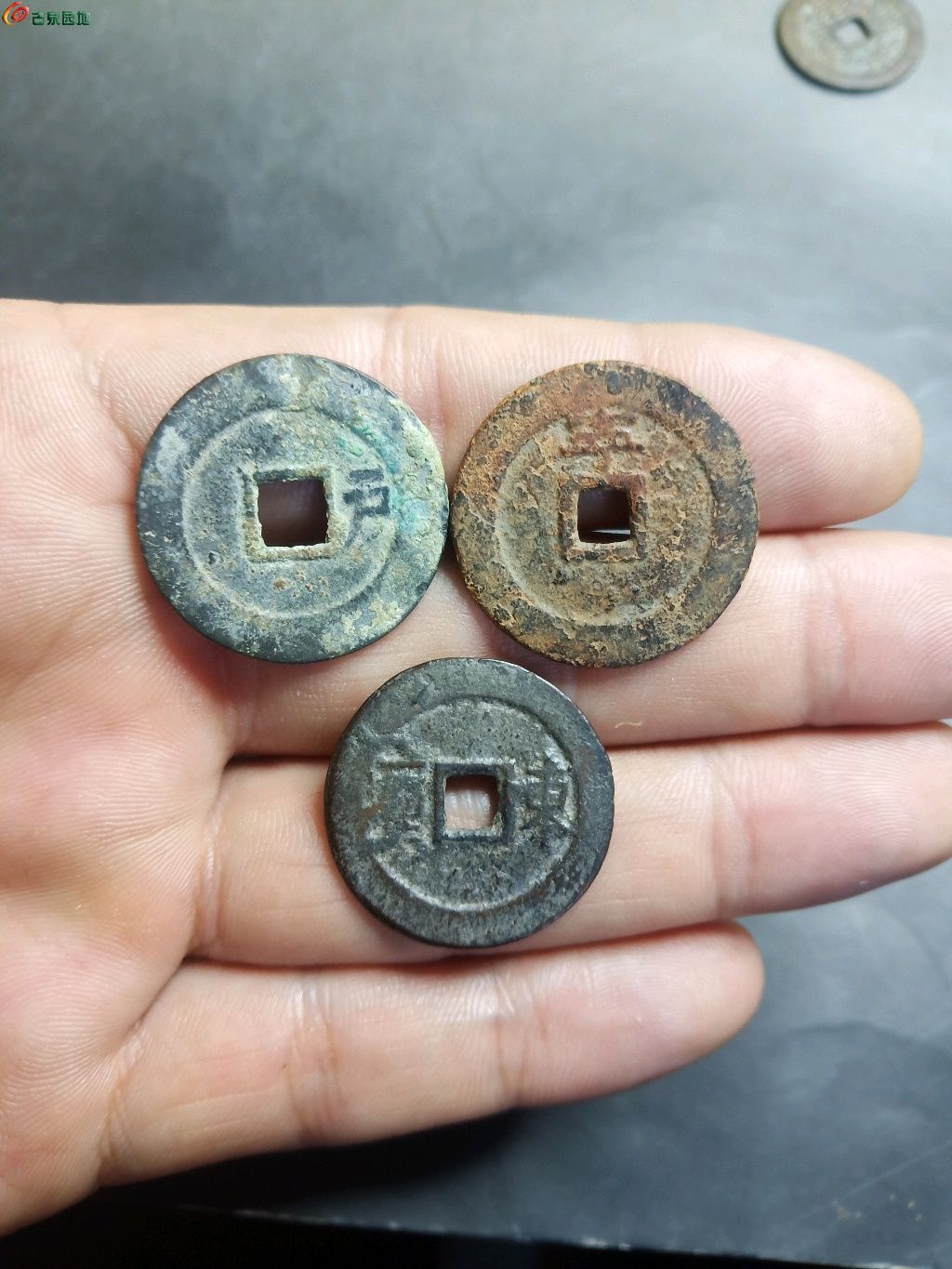 顺治通宝背字三枚