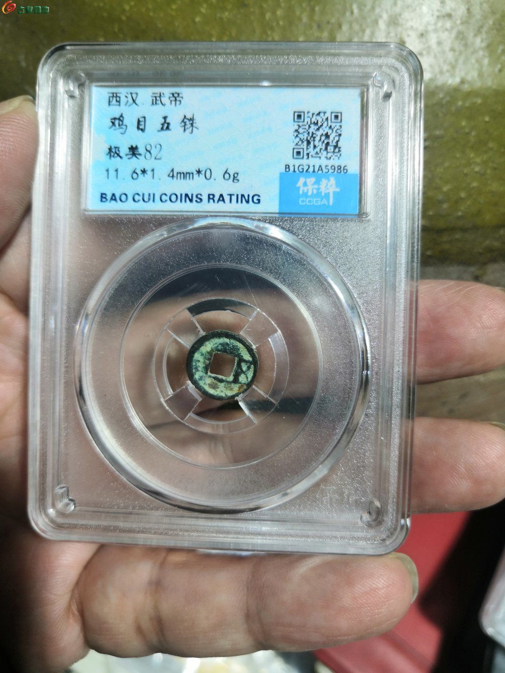 wKgBWGF75WGIbTcEAANOVd4tJCUAAHCVQJp_CcAA05t867.jpg